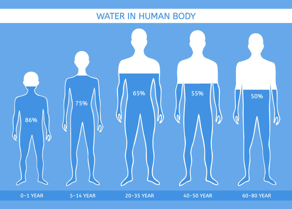 水が身体に与える影響